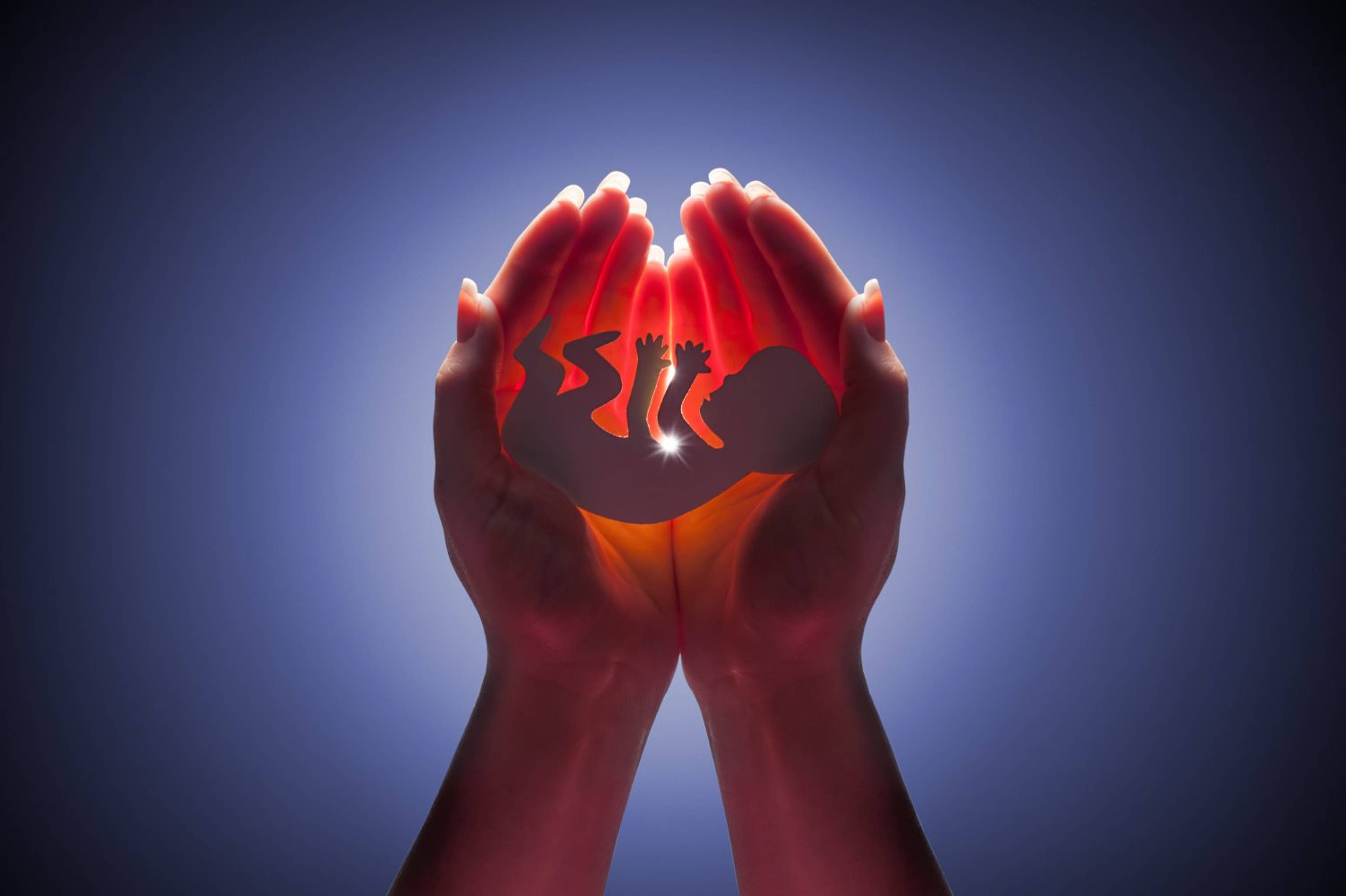 In wake of abortion ban, Yaqeen provided clarity