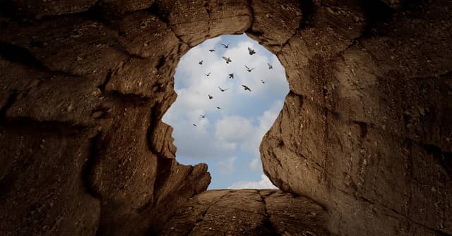 Honored Since Adam: Islam and the Value of Human Freedom