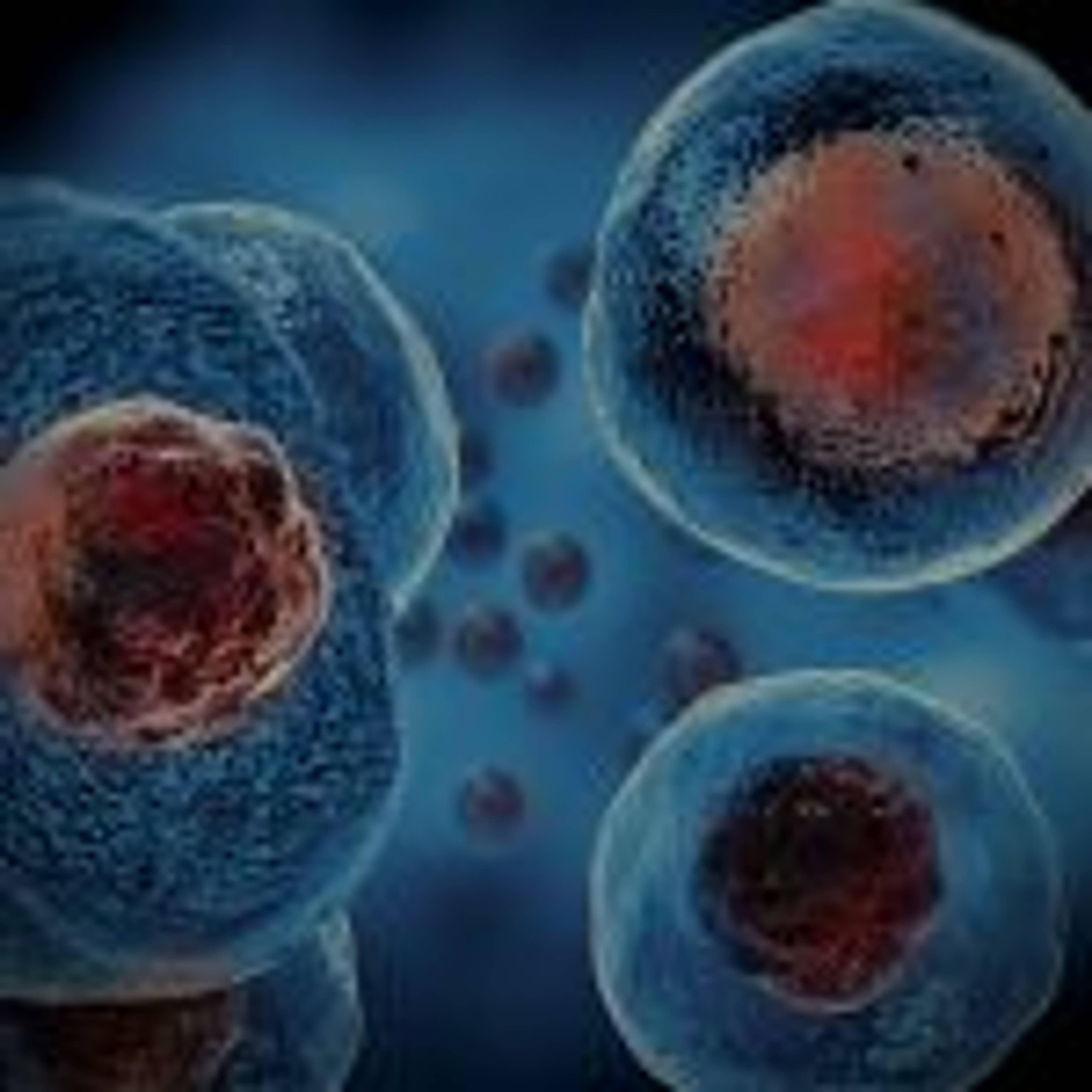 Evolution in the Scales of Scripture