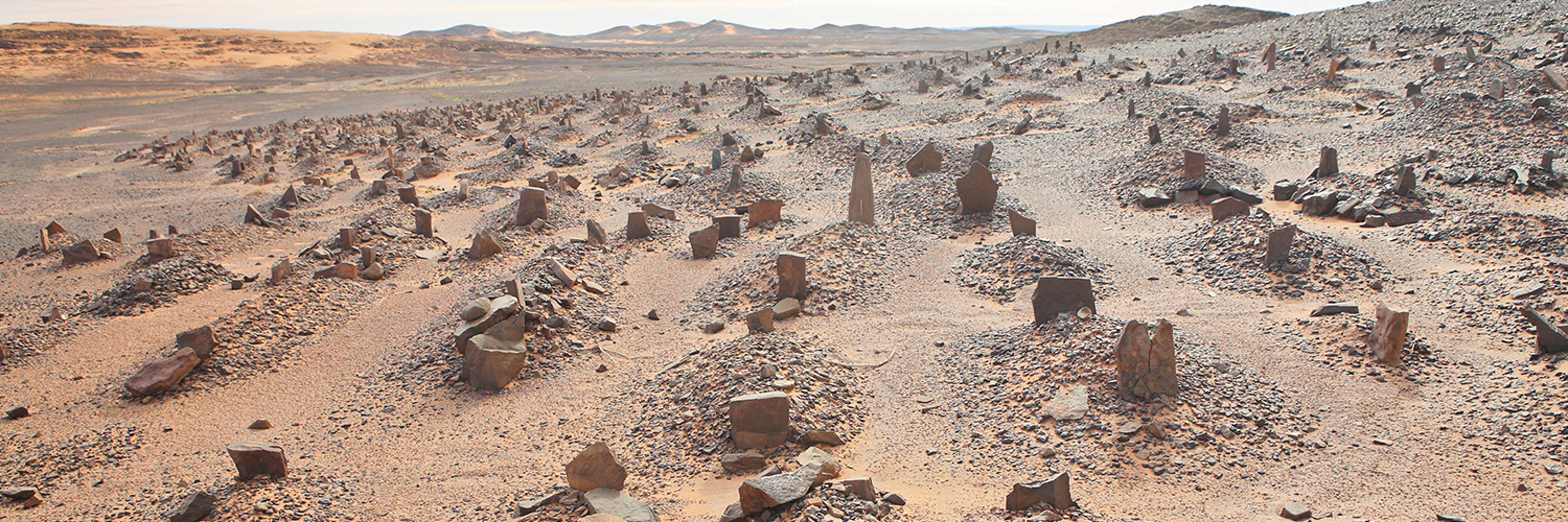 We’ve Been Here Before: Plague and Pestilence in Pre-Modern Islamic History