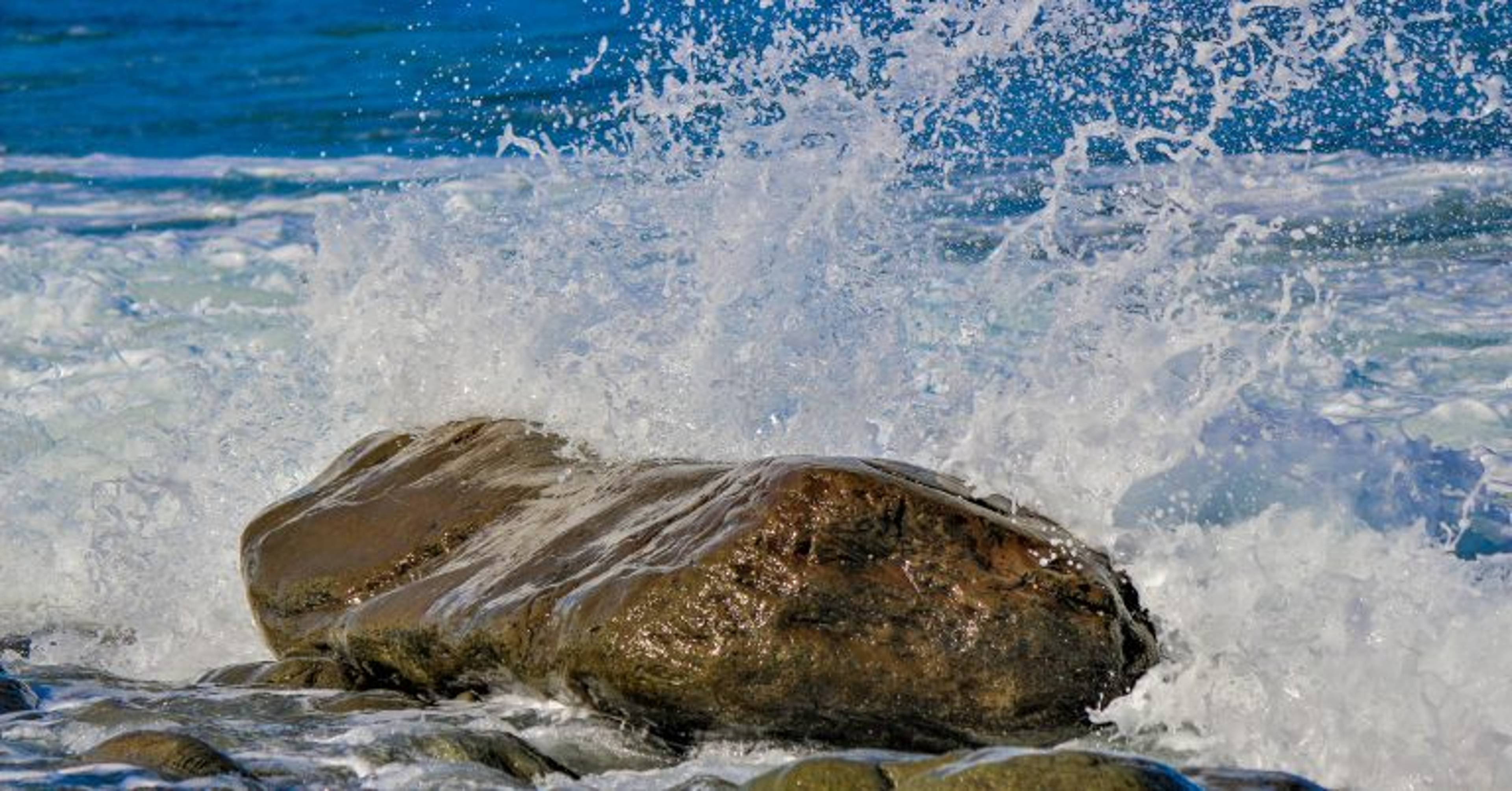 When Charity is Washed Away
