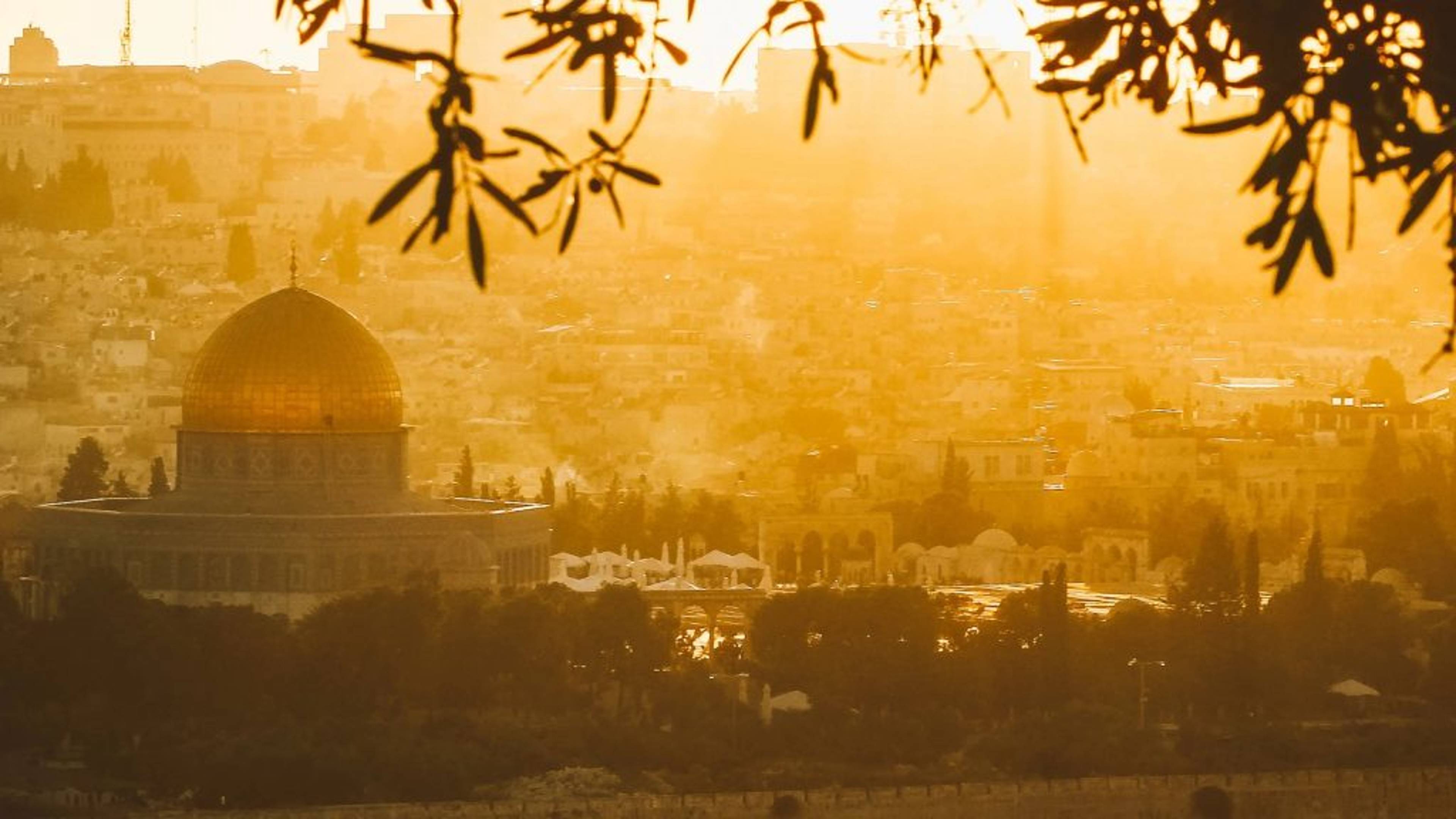 The Palestinian Struggle Through the Prophetic Lens