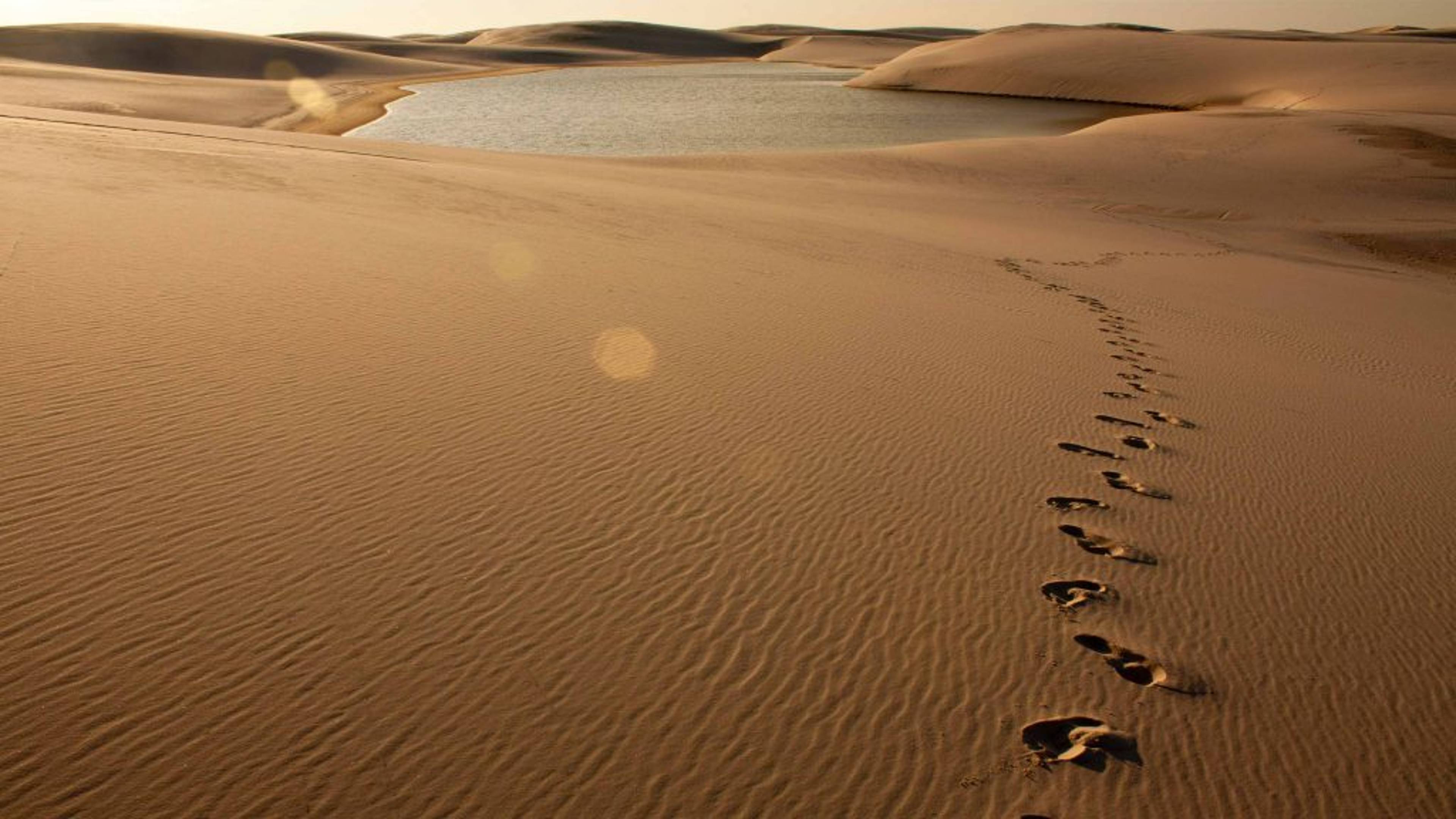 Prophetic Ethics: A Model for those Seeking God and Eternal Life
