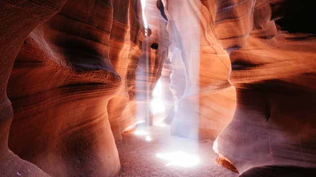 Saving Truth and Beauty: The Destruction of Nature and the Islamic Solution