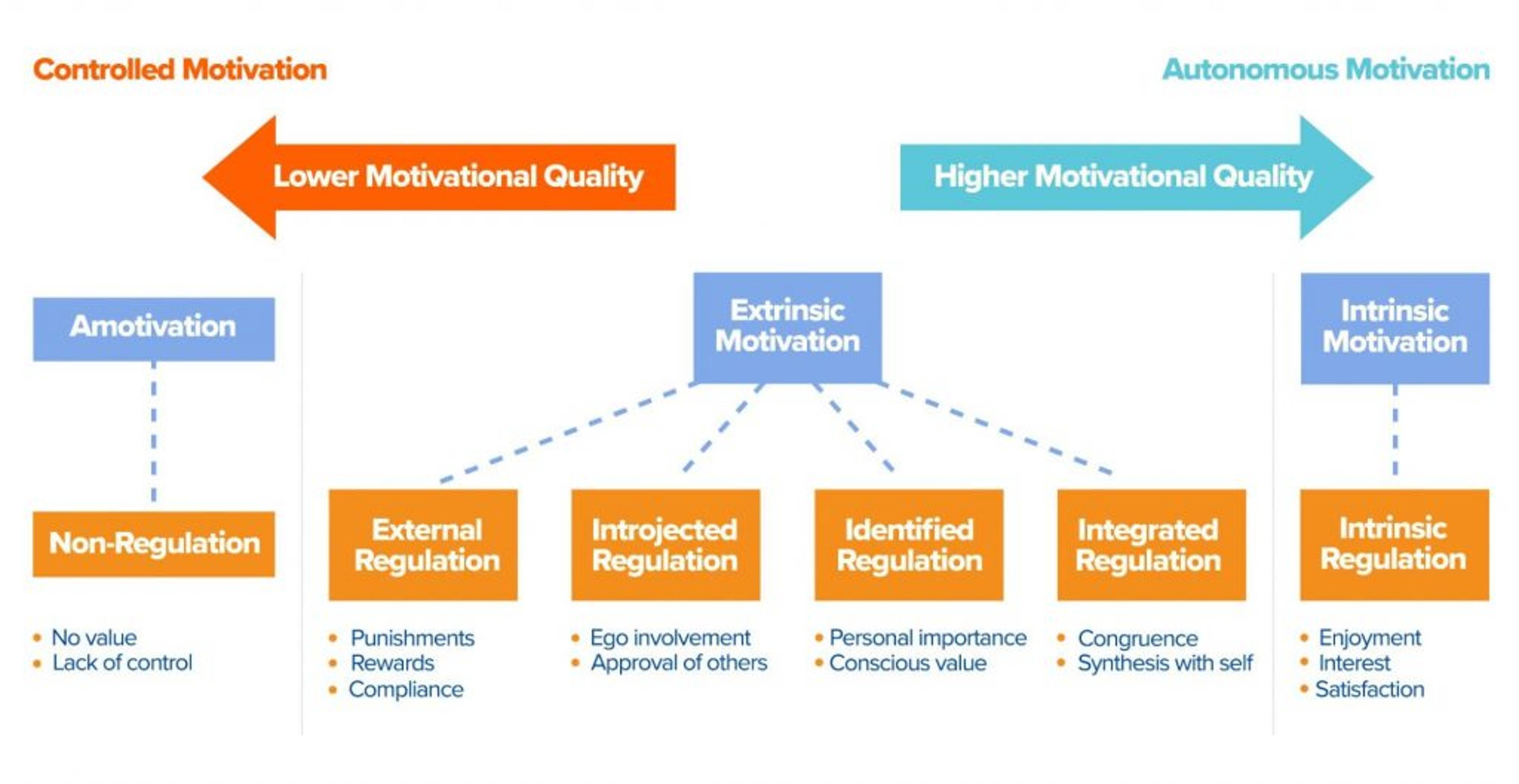 Figure 1. Overview of Organismic Integration Theory