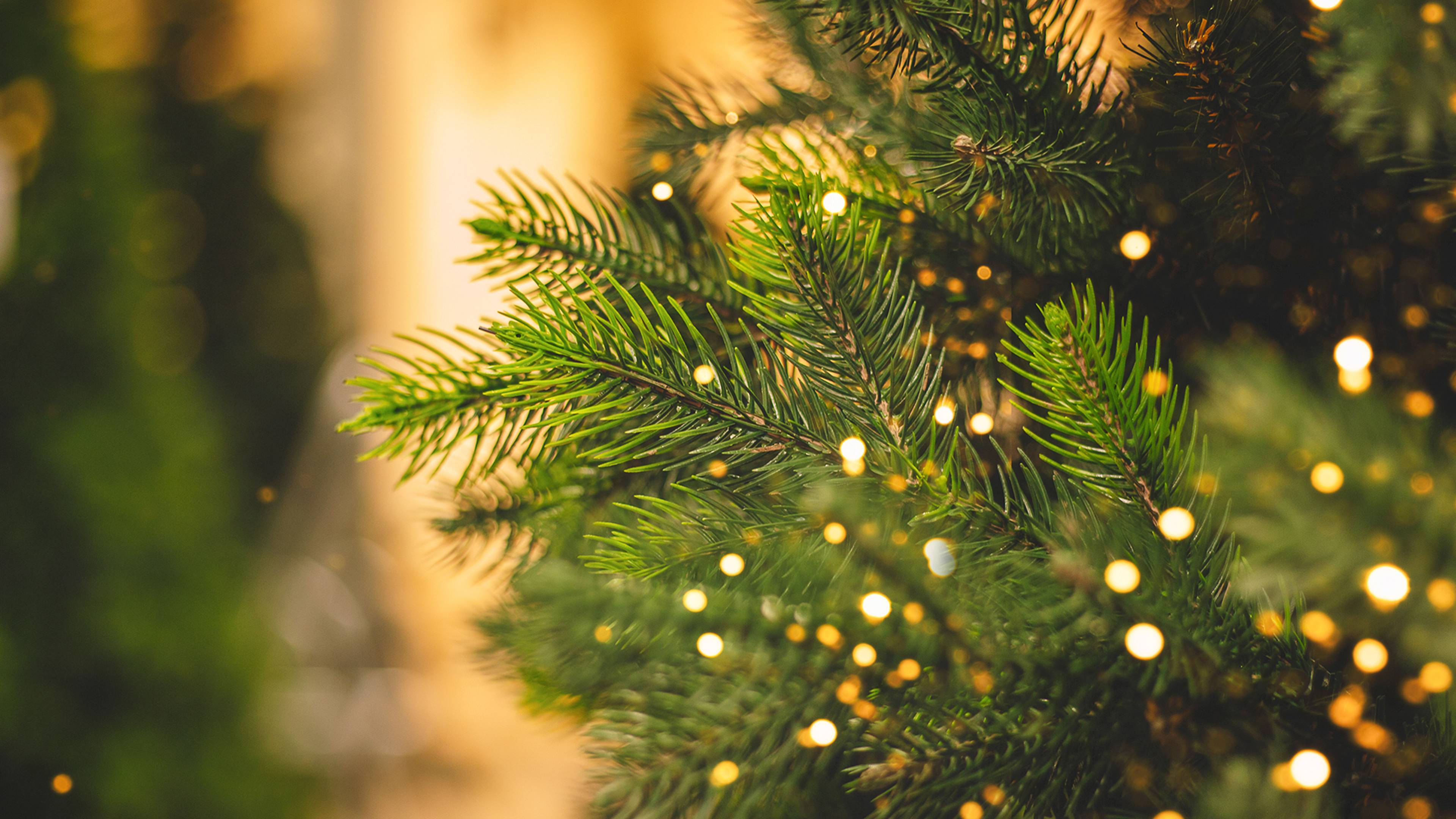 Celebrating the Holidays as a Muslim Convert | Blog