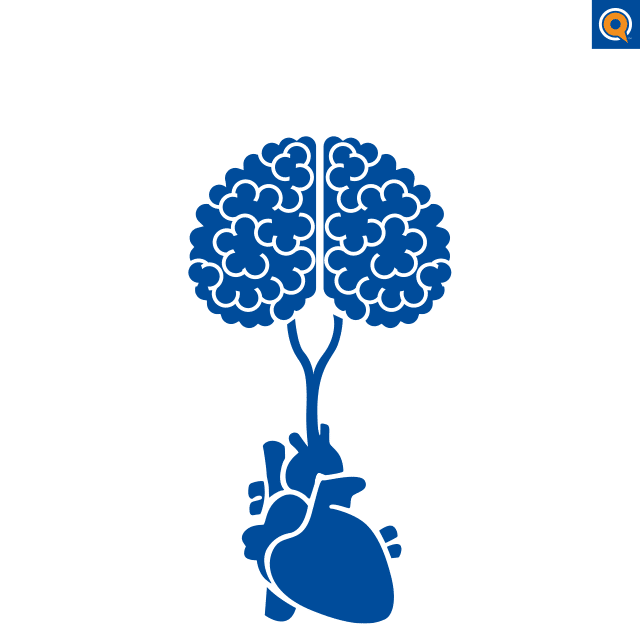 1.1 Teacher reference: Heart illustration