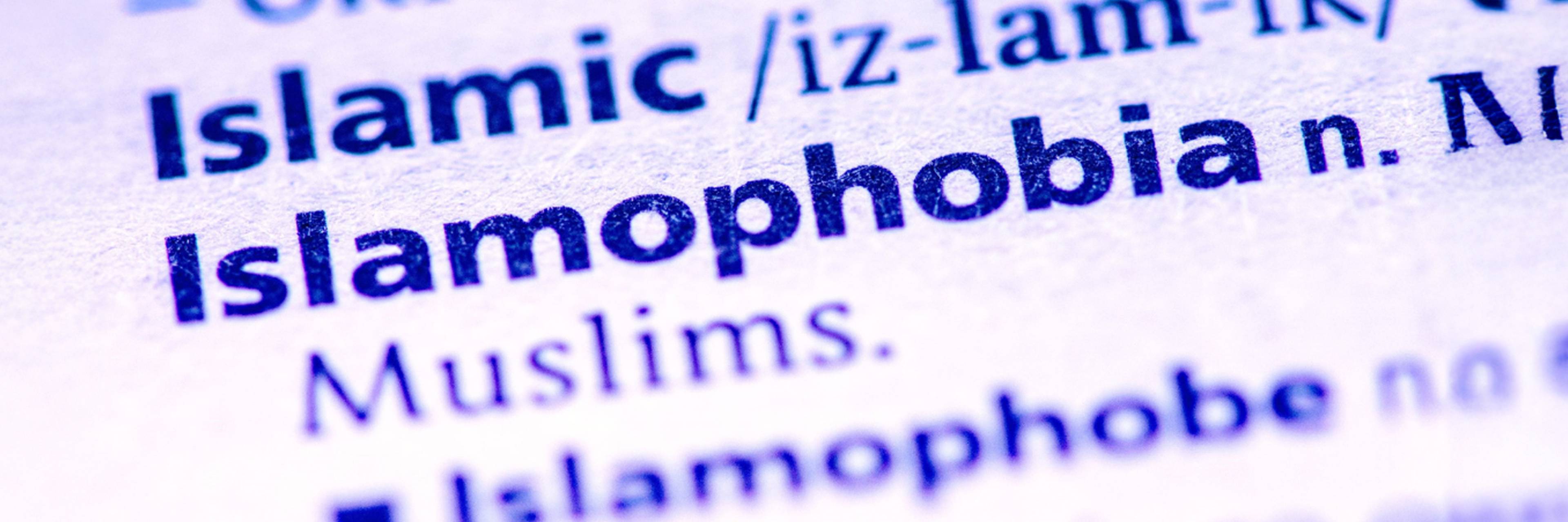 Exploring Islamophobia: A Snapshot of Current Research