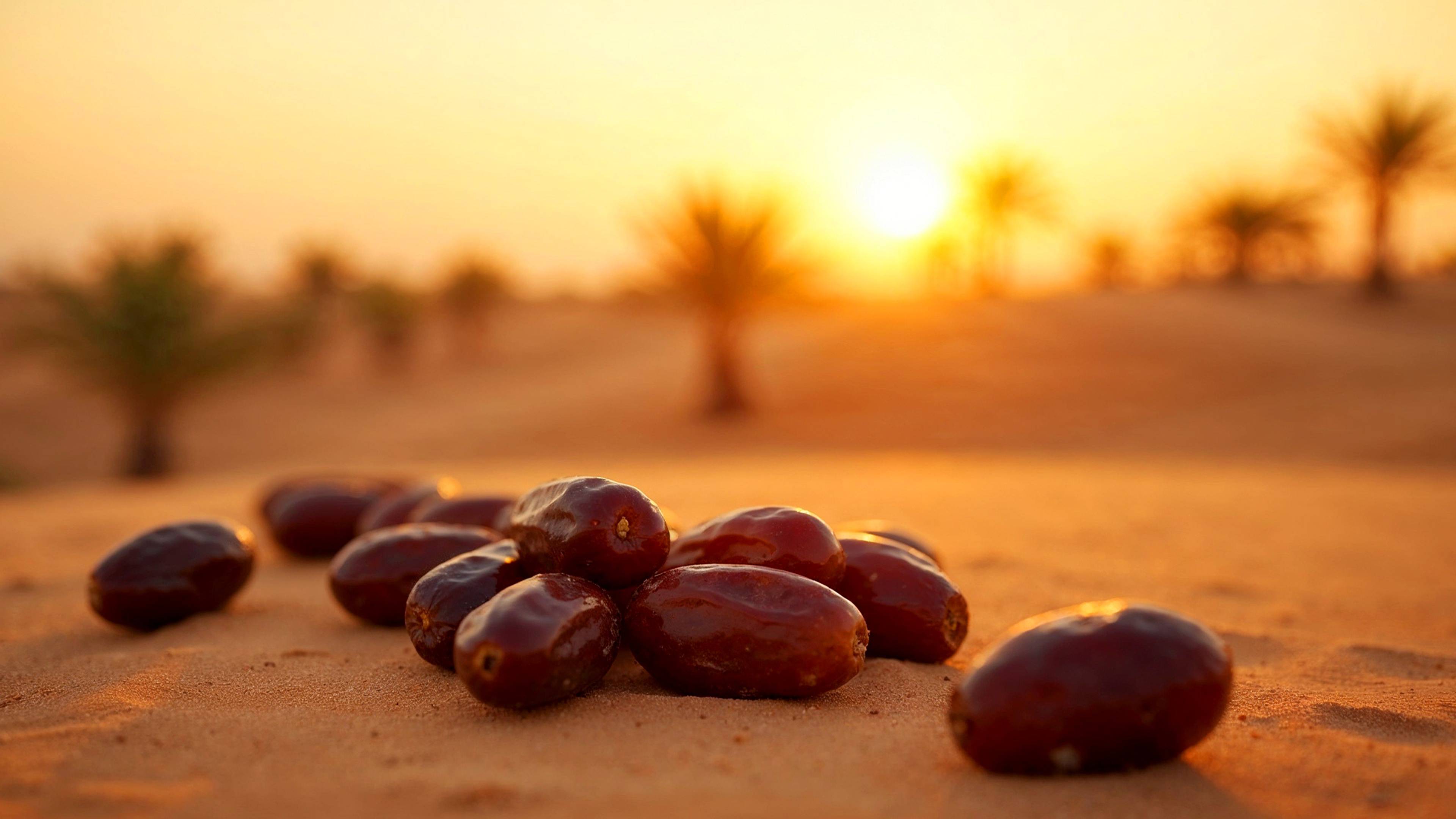 Mary in the Qur’an: The Power of Faith in the Face of Pain and Scorn | Blog