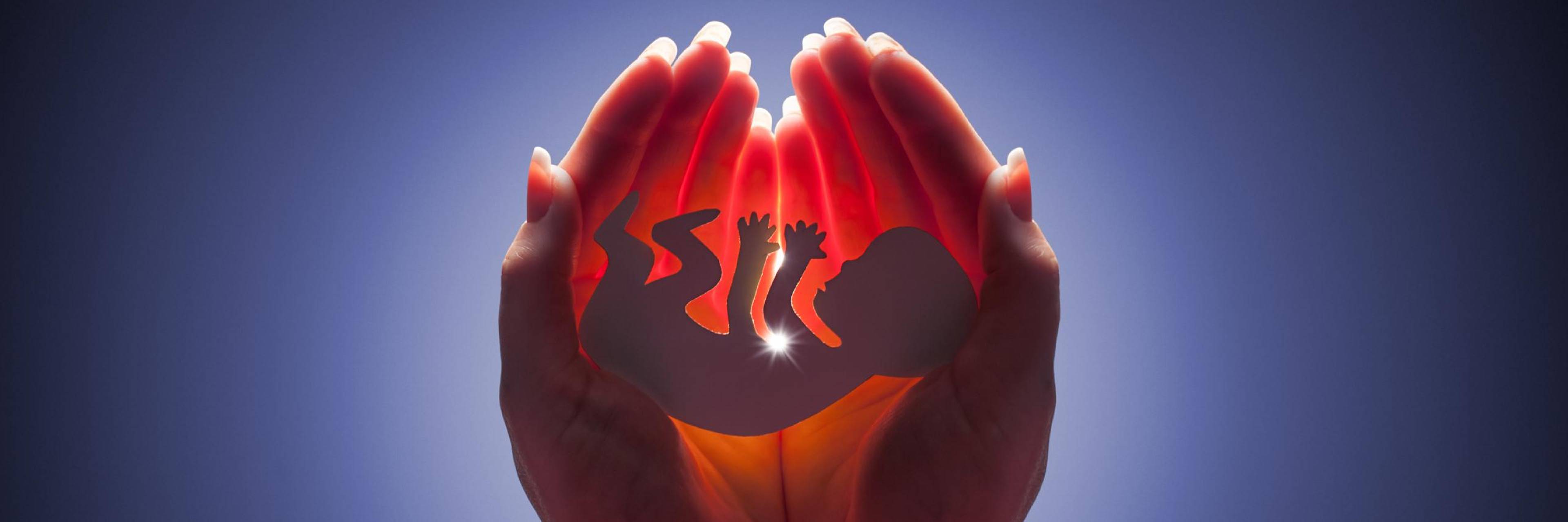 Islam and the Abortion Debate