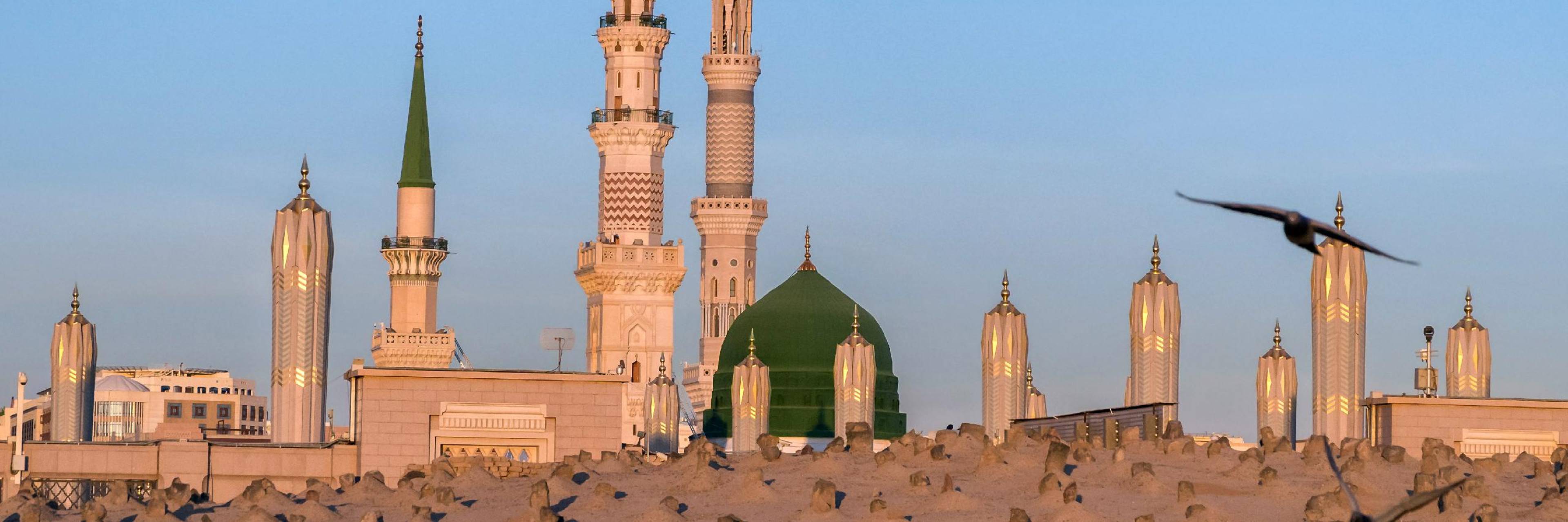 Is Islam a Death Cult? Martyrdom and the American-Muslim Imagination