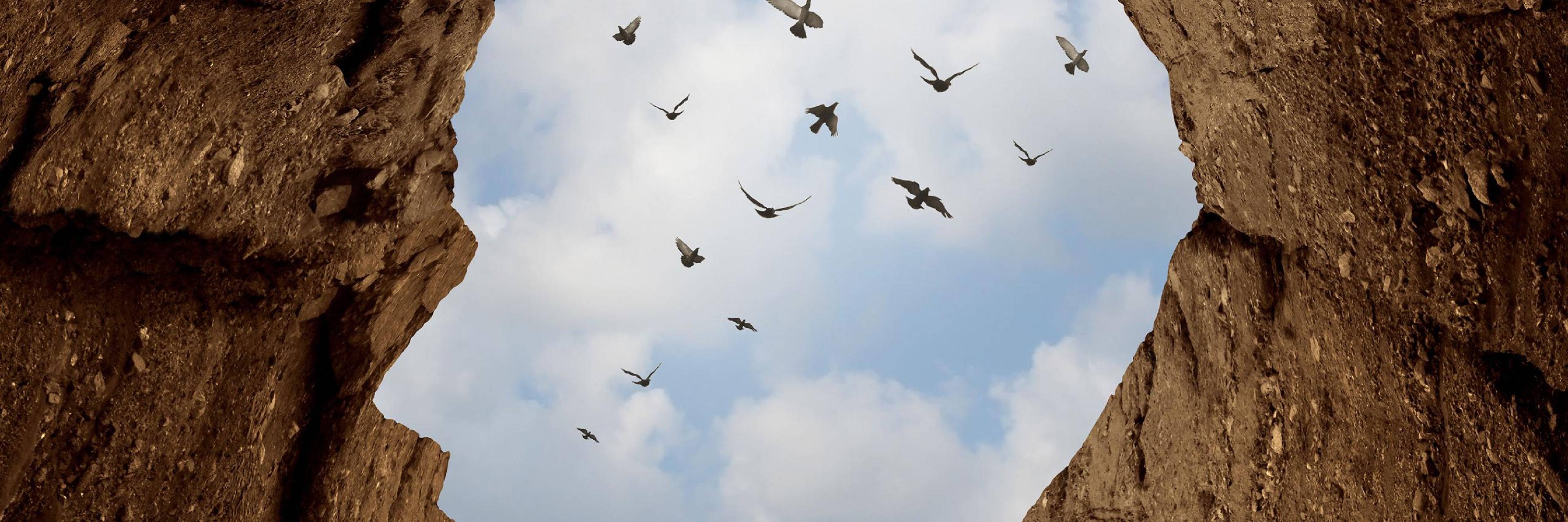 Honored Since Adam: Islam and the Value of Human Freedom