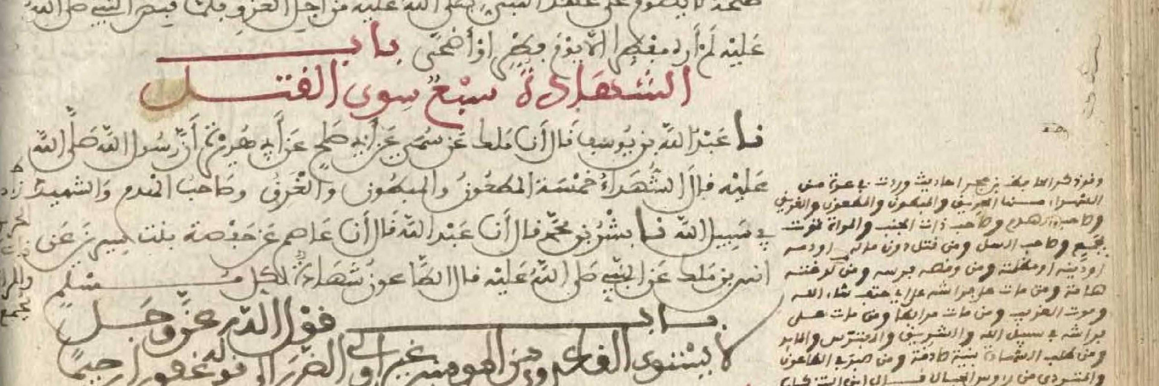 The Prophetic Promises for Martyrs and Medina: Is COVID-19 a Plague?