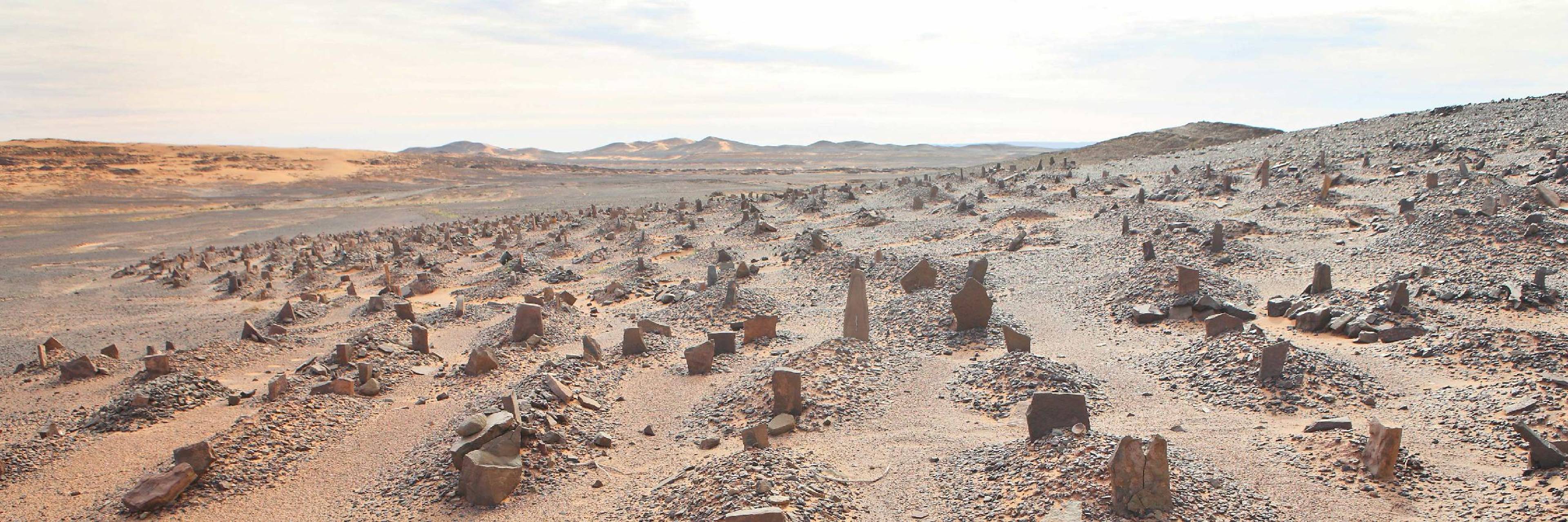 We’ve Been Here Before: Plague and Pestilence in Pre-Modern Islamic History