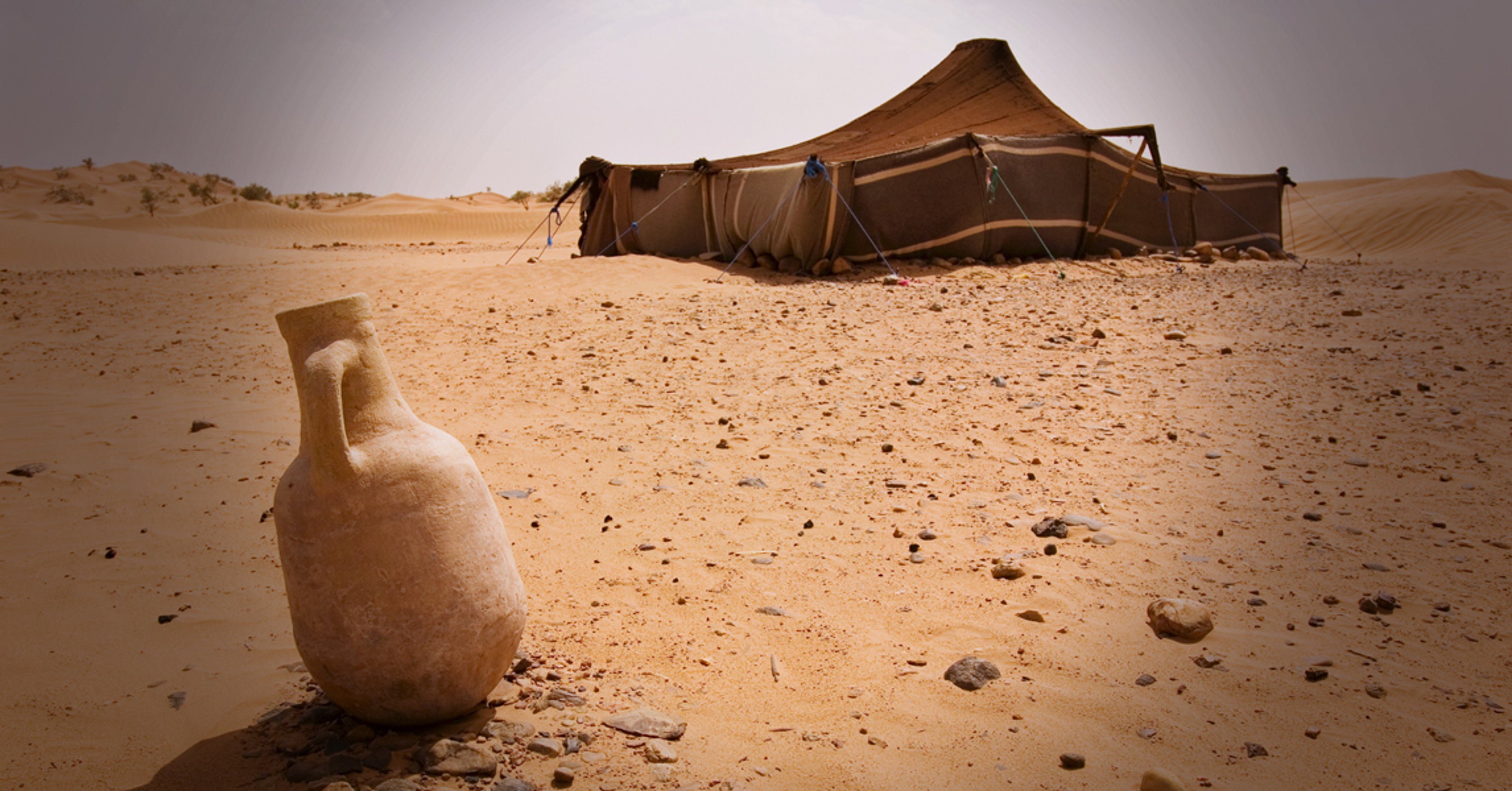 The Prophecies of Muhammad ﷺ