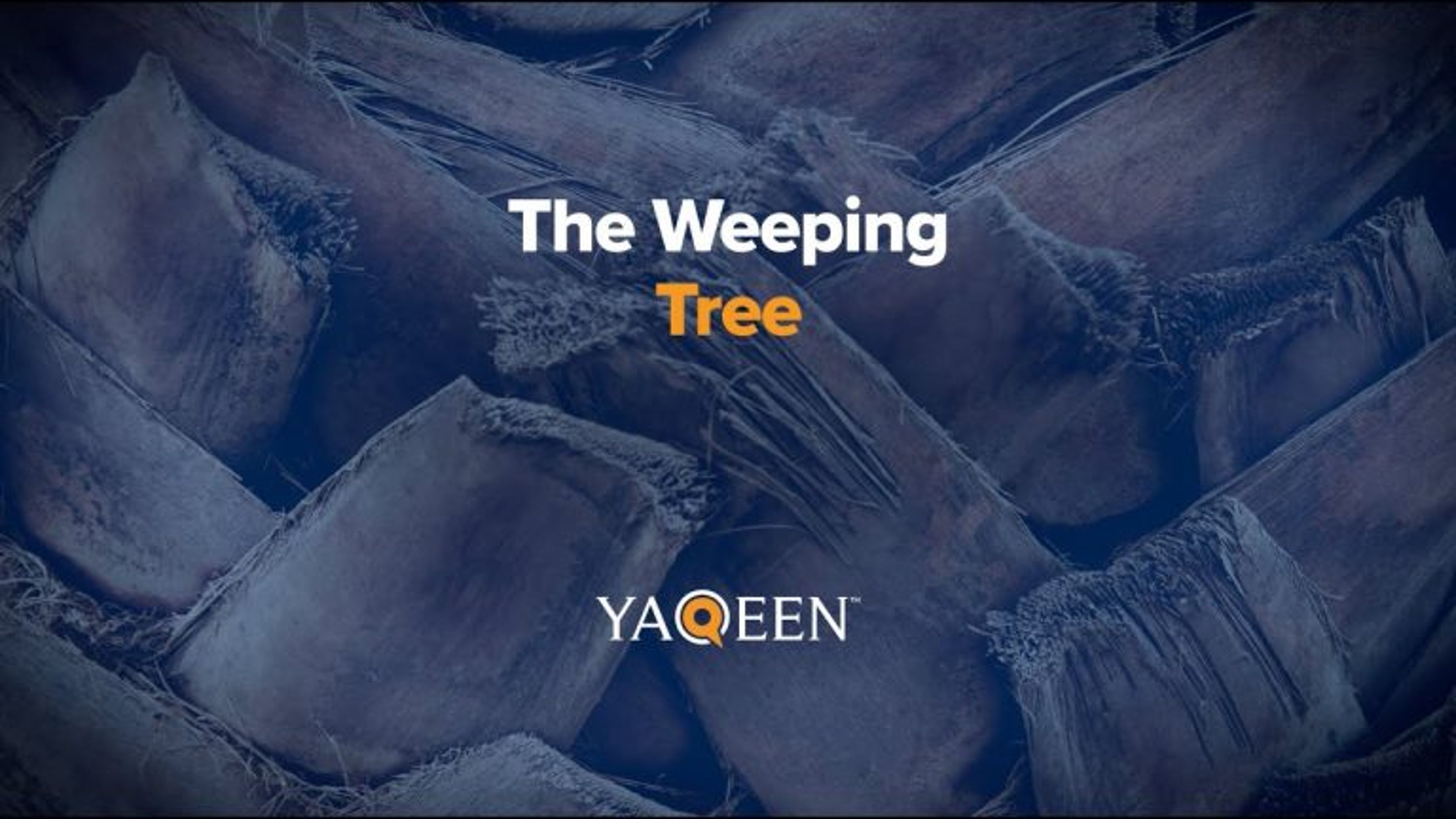 The Weeping Tree | Animation