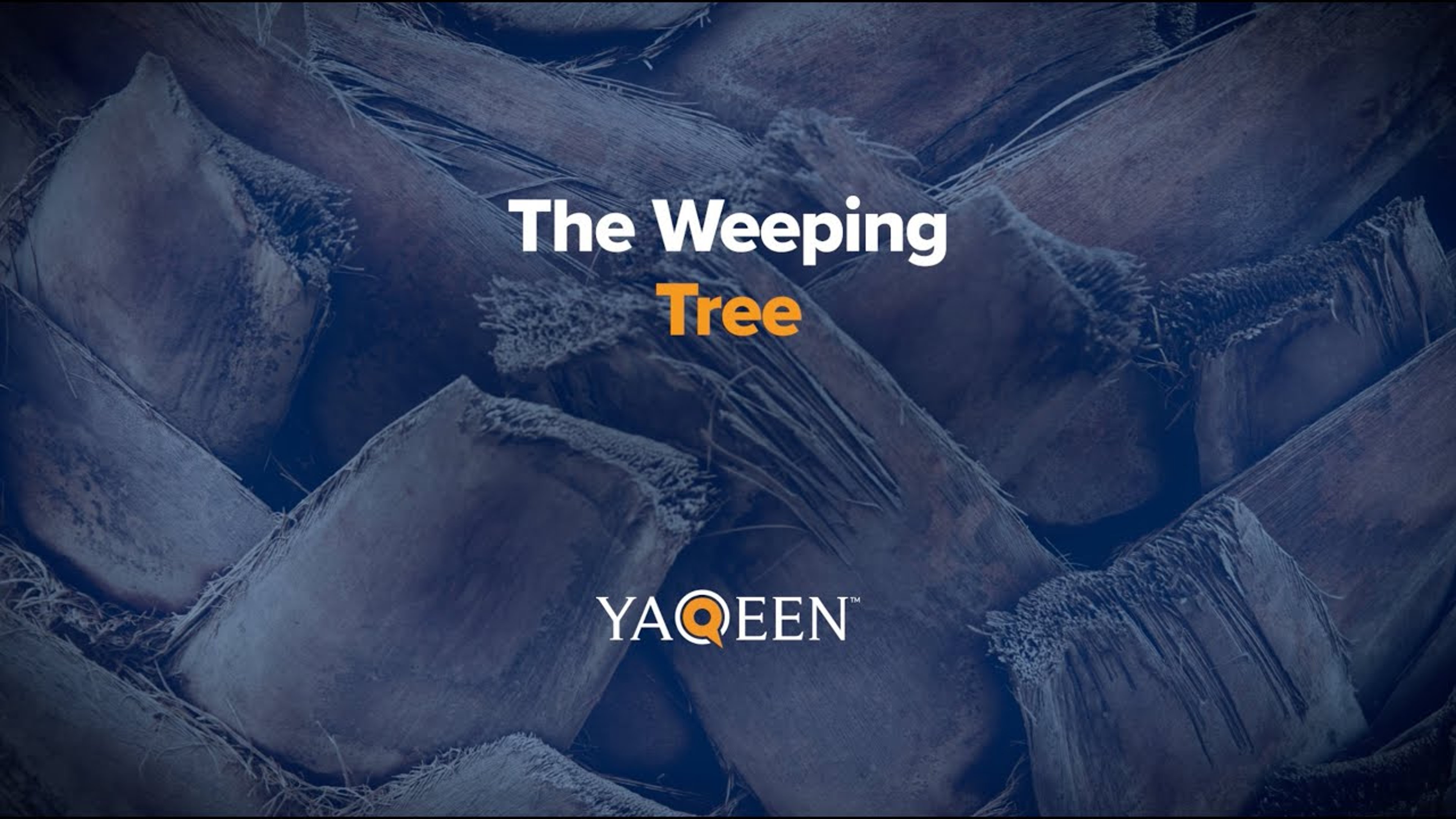 The Weeping Tree | Animation