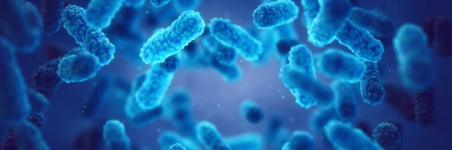 Is Contagion Real? Giving Context to Prophetic Wisdom