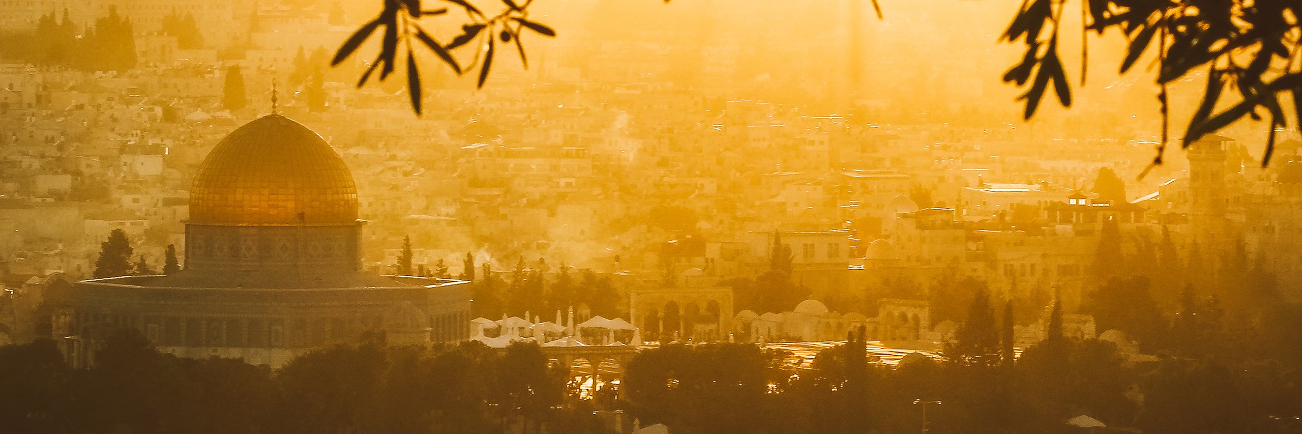 The Palestinian Struggle Through the Prophetic Lens