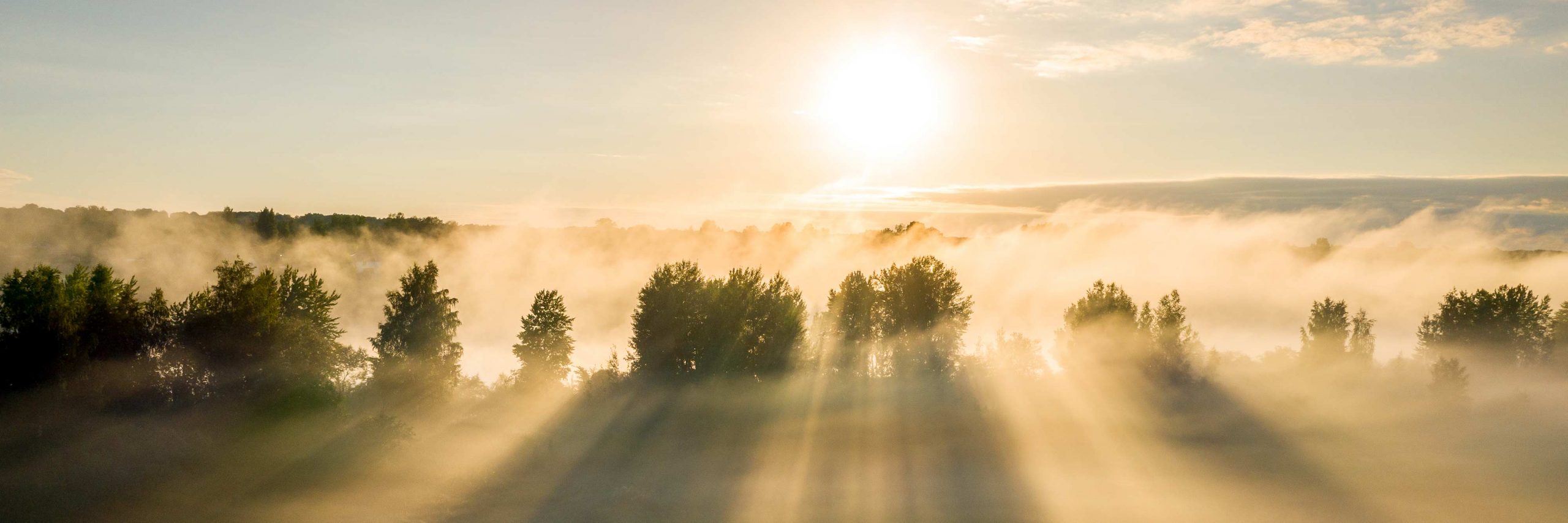 Cultivating Faithful Enthusiasm: How the Qur'an Creates Transformative Willpower