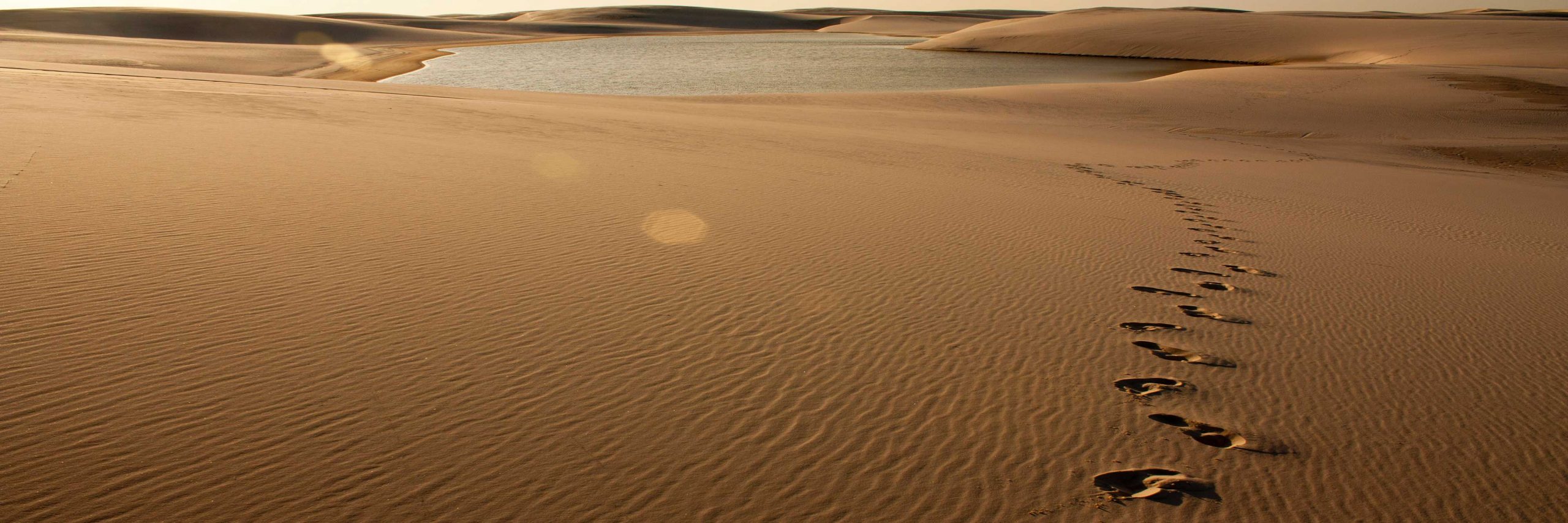 Prophetic Ethics: A Model for those Seeking God and Eternal Life