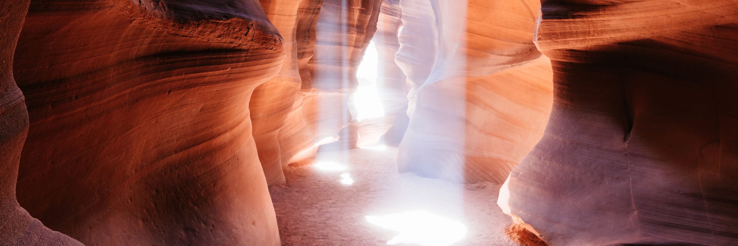 Saving Truth and Beauty: The Destruction of Nature and the Islamic Solution