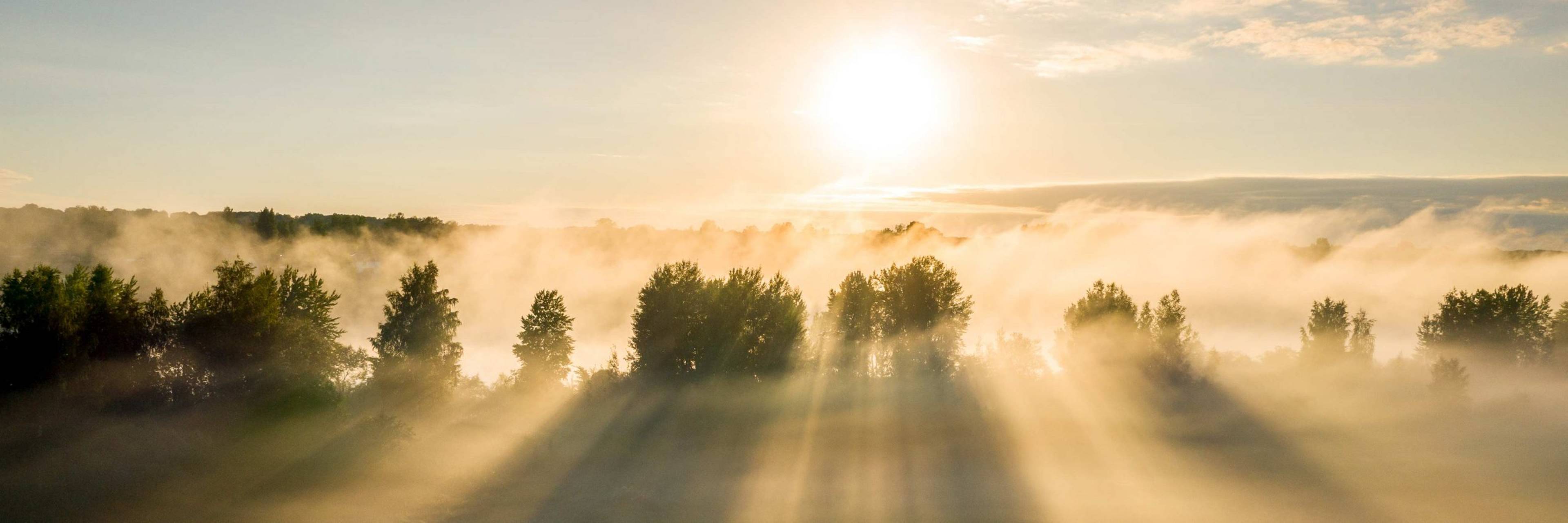 Cultivating Faithful Enthusiasm: How the Qur'an Creates Transformative Willpower