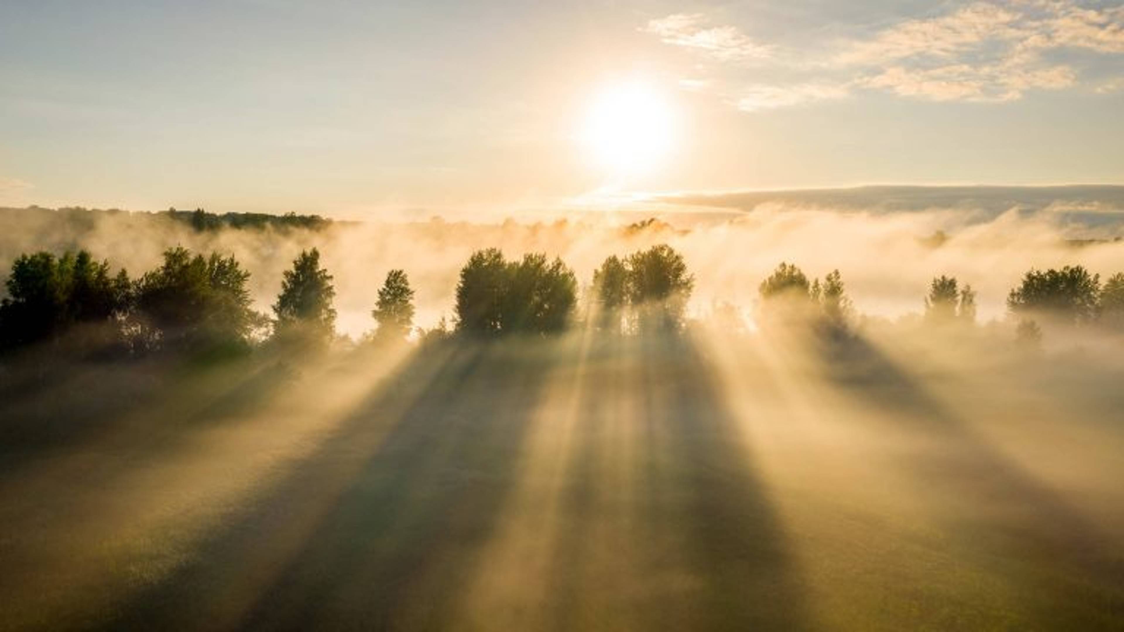 Cultivating Faithful Enthusiasm: How the Qur'an Creates Transformative Willpower