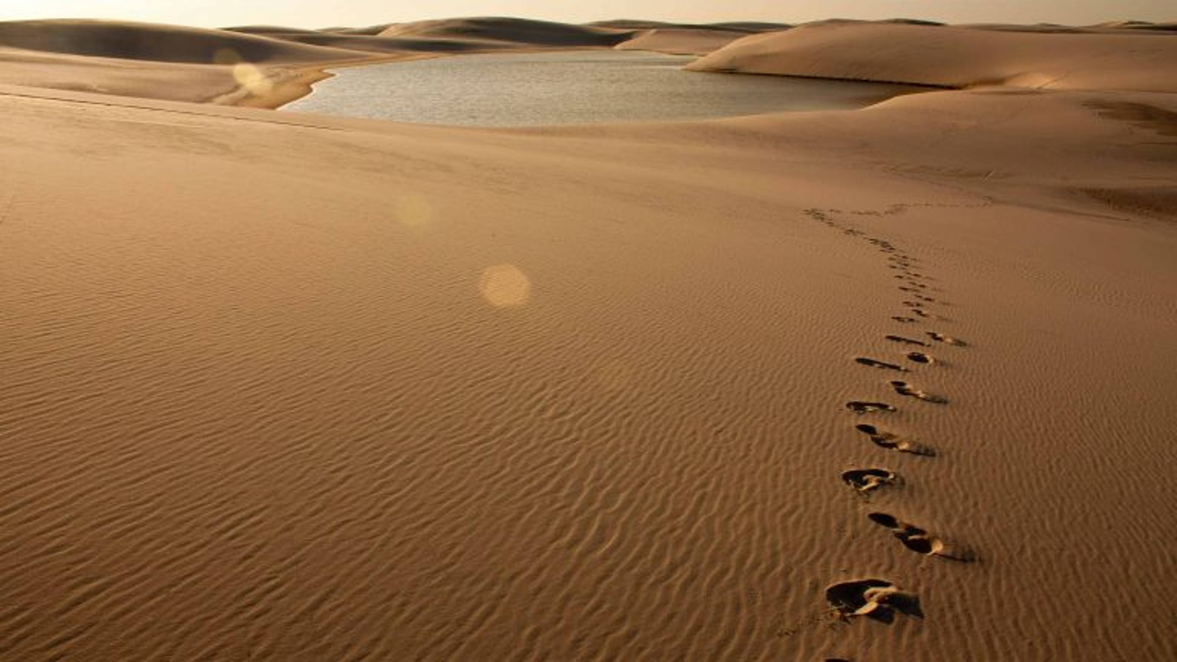 Prophetic Ethics: A Model for those Seeking God and Eternal Life