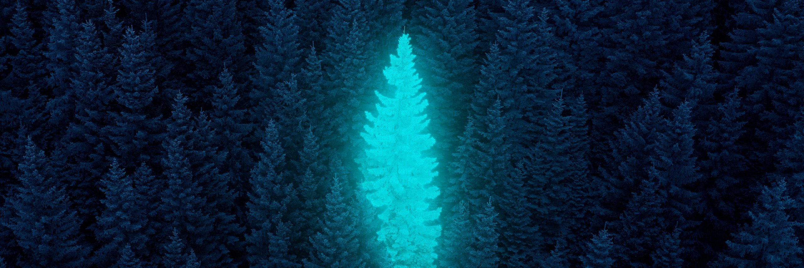 Are All Religions the Same? Islam and the False Promise of Perennialism