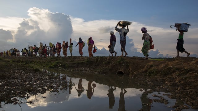 Does History Only Repeat Itself? Remembering the Rohingya in Light of Palestine | Blog