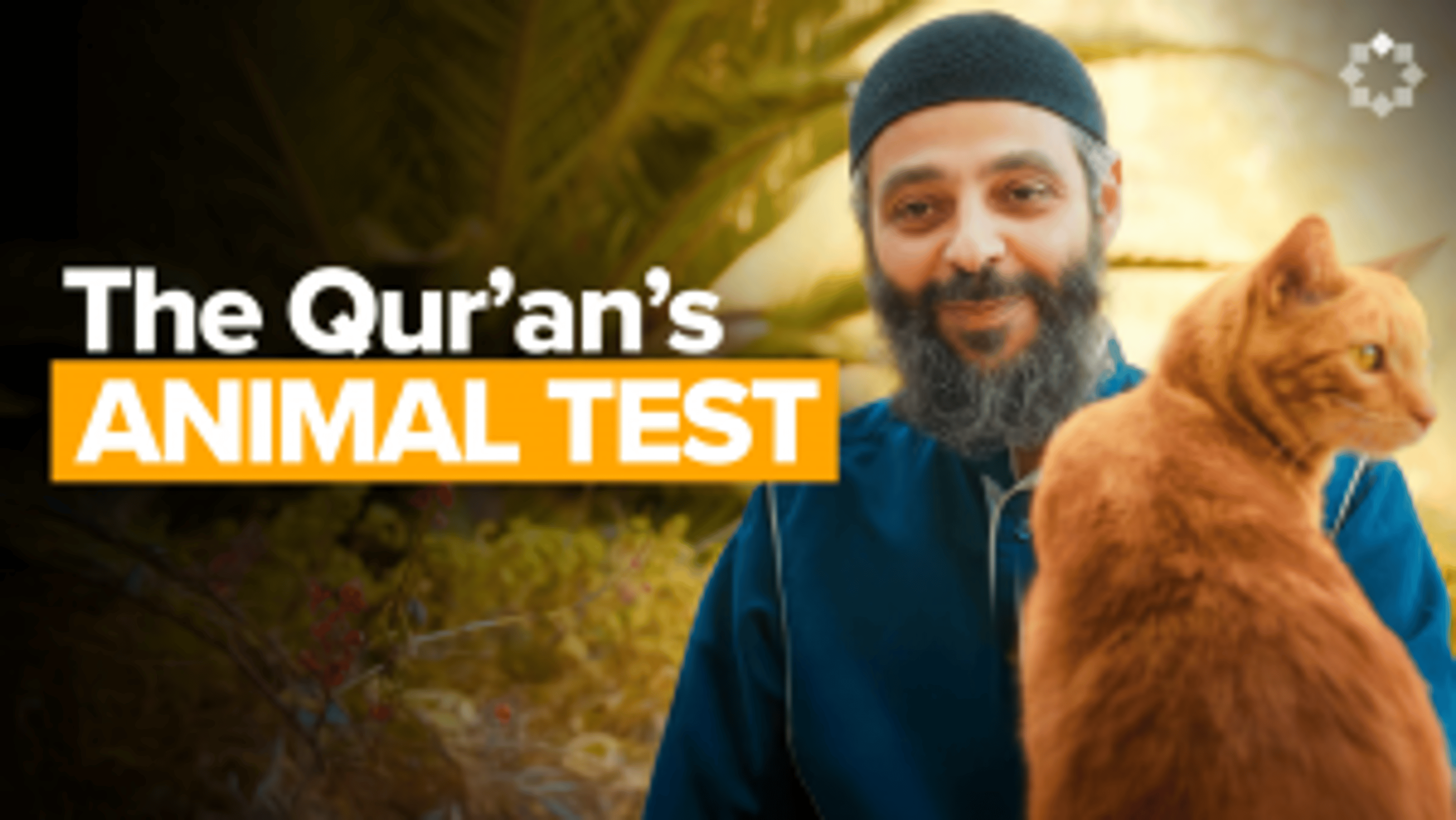 A Believer’s Animal Personality Test | Dr. Hassan Elwan