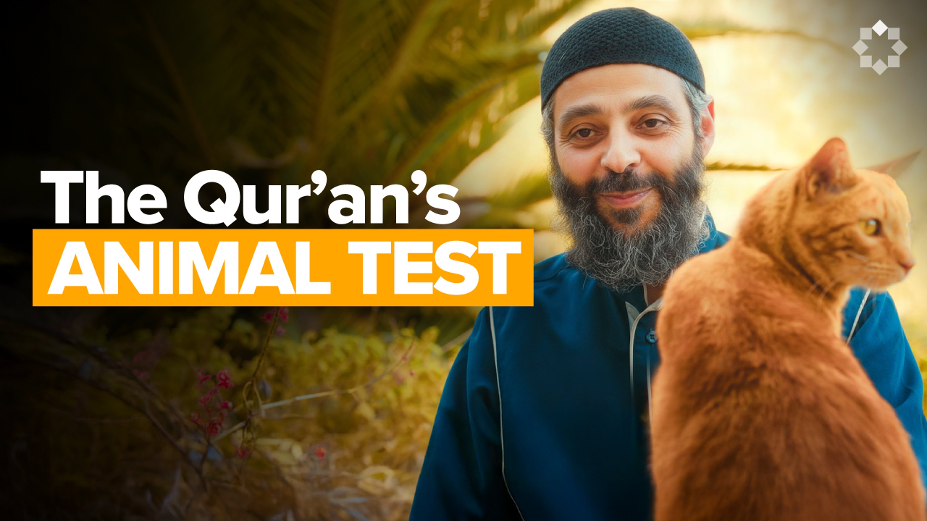 A Believer’s Animal Personality Test | Dr. Hassan Elwan