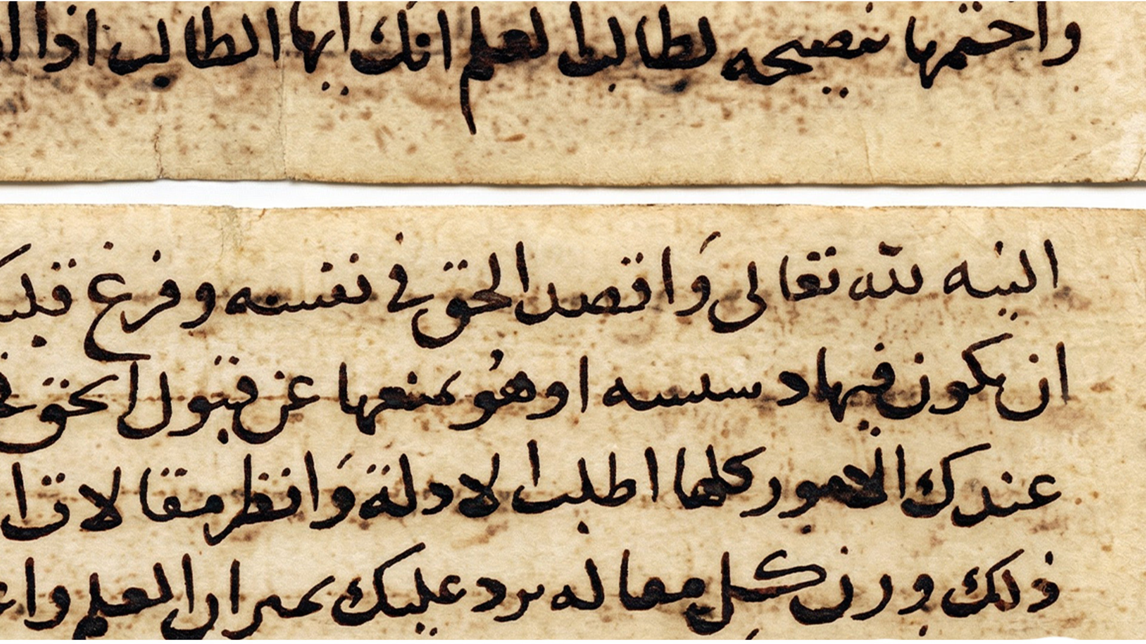 The Ethics of Scholarly Inquiry: Al-Subkī on Method, Debate and Disagreement | Blog