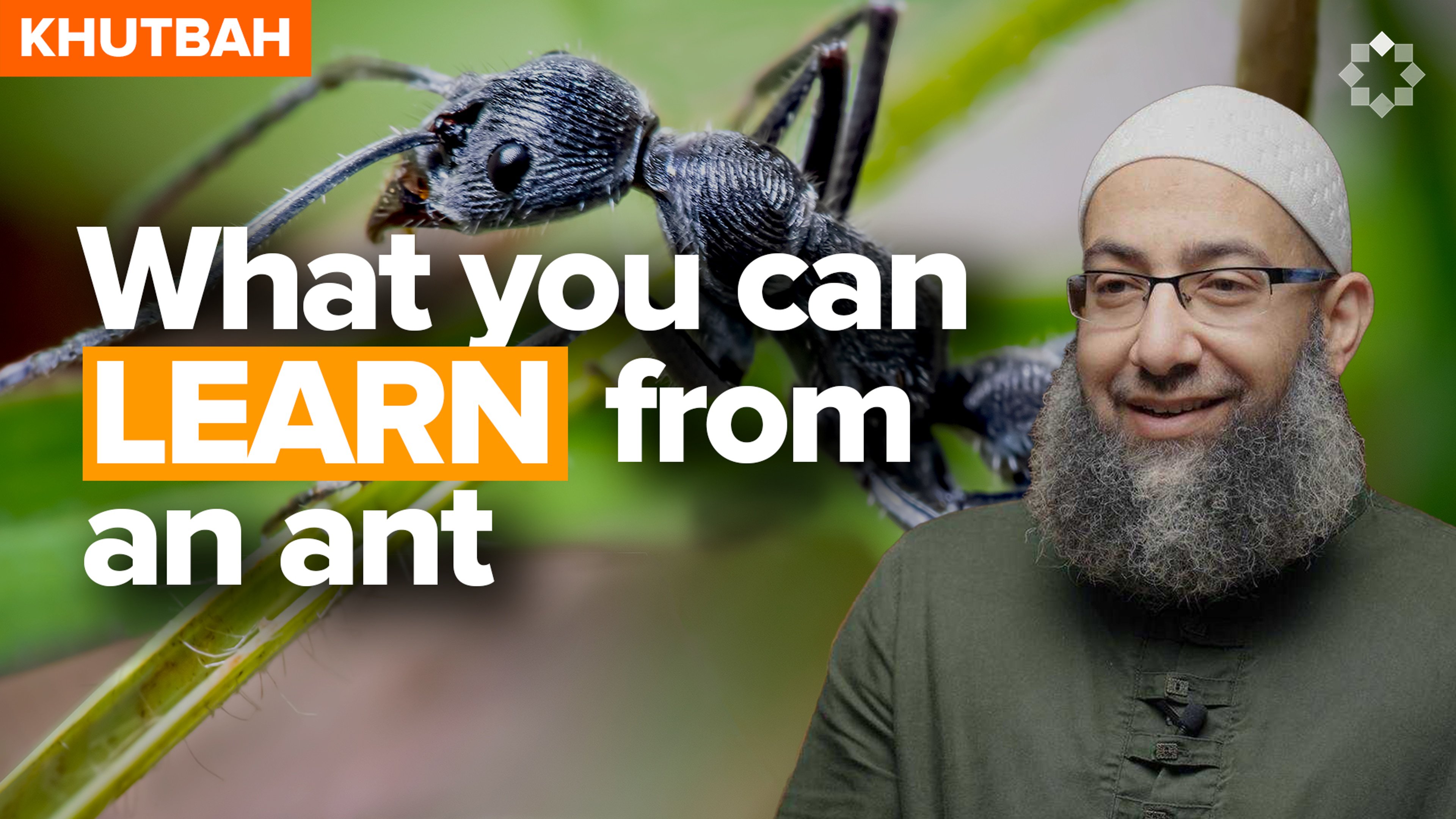 King Sulayman (AS) and The Ant That Spoke Up | Khutbah by Sh. Mohammad Elshinawy
