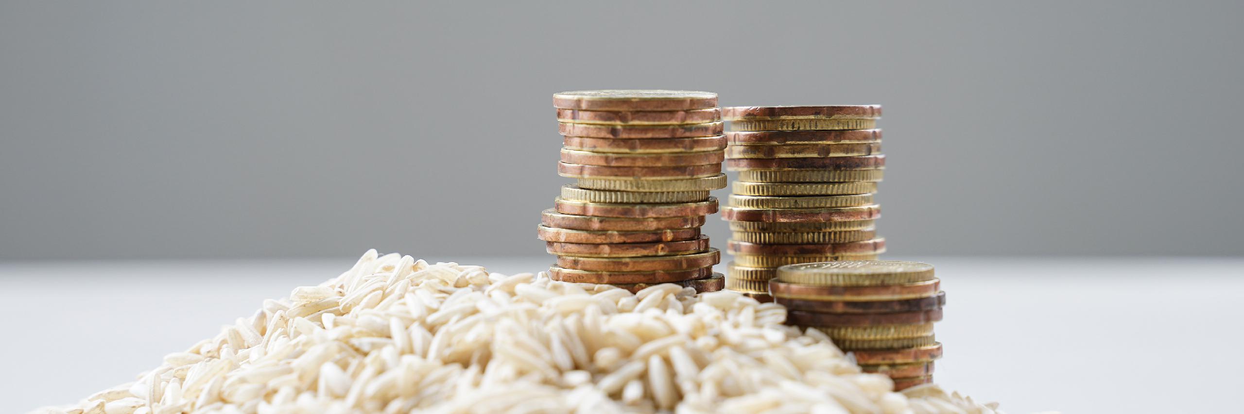 The Preserved Practice: A Study of Zakat Work in Canada