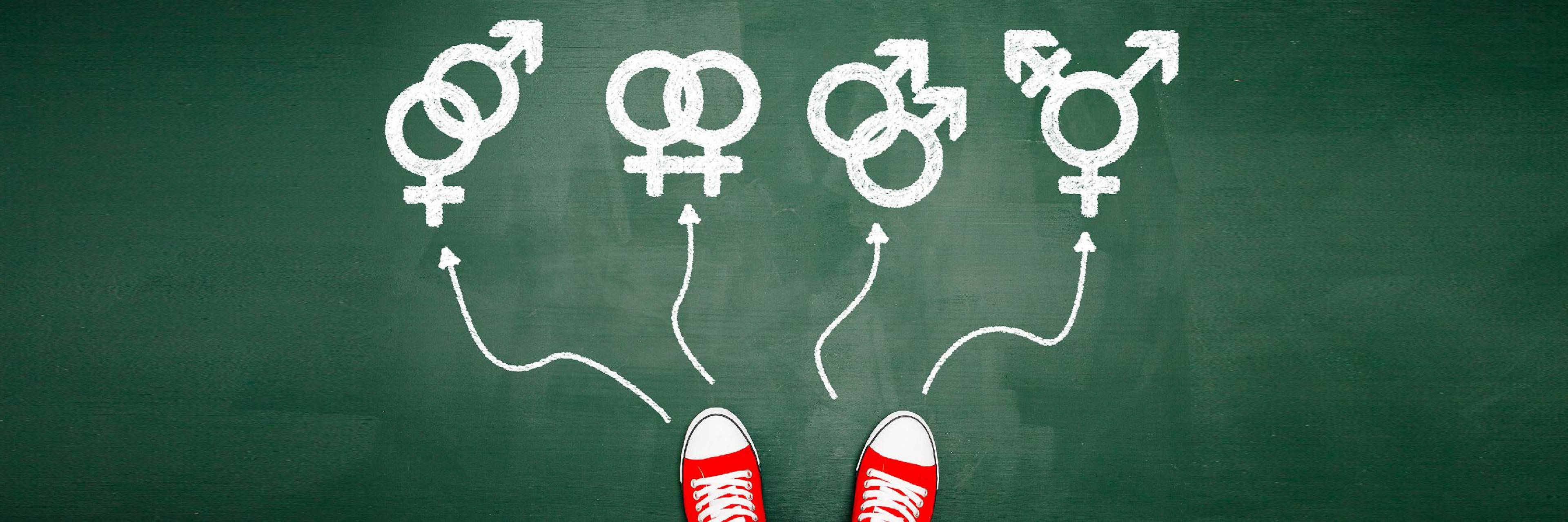 LGBTQ and Islam Revisited: The Days of the Donald